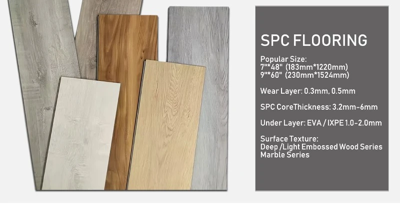 SPC02 SPC02
