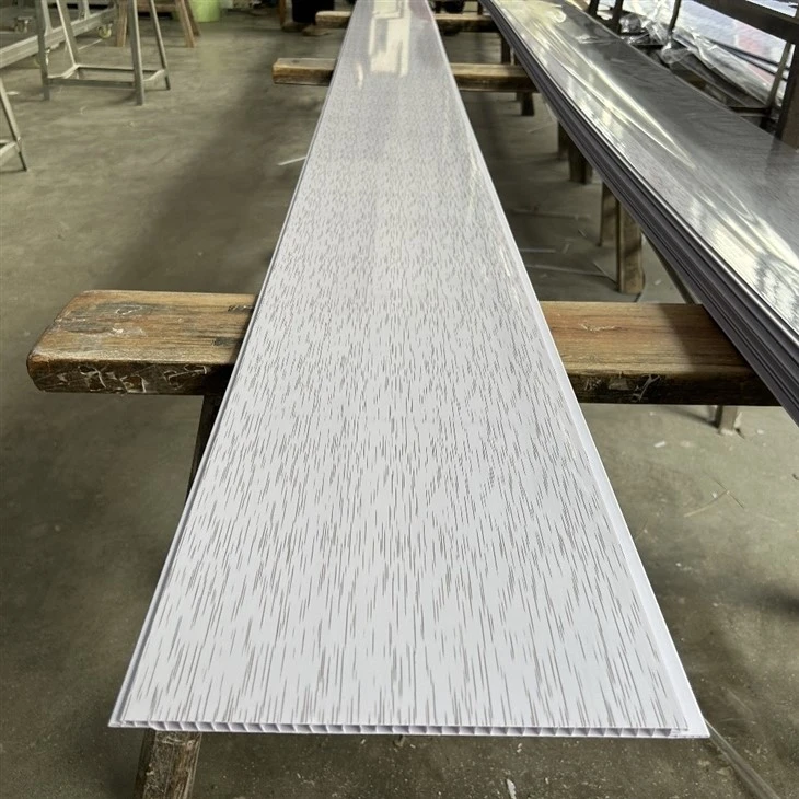 Laminas De Techo PVC
