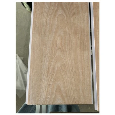 Panel de techo de PVC Techo PVC