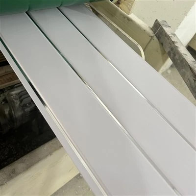 Techo de PVC